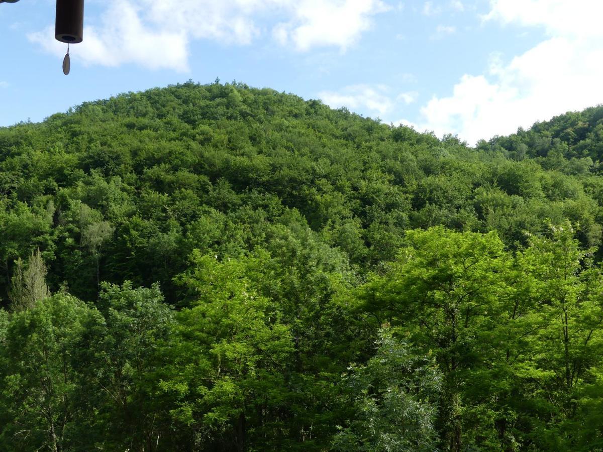Source Nature Mas-d'Azil Exteriér fotografie